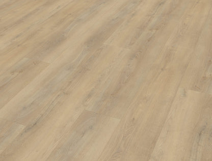 Belakos Palazzo 720 | Rigid Click | Bruin