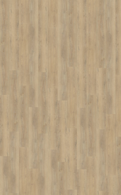 Belakos Palazzo 720 | Bruin