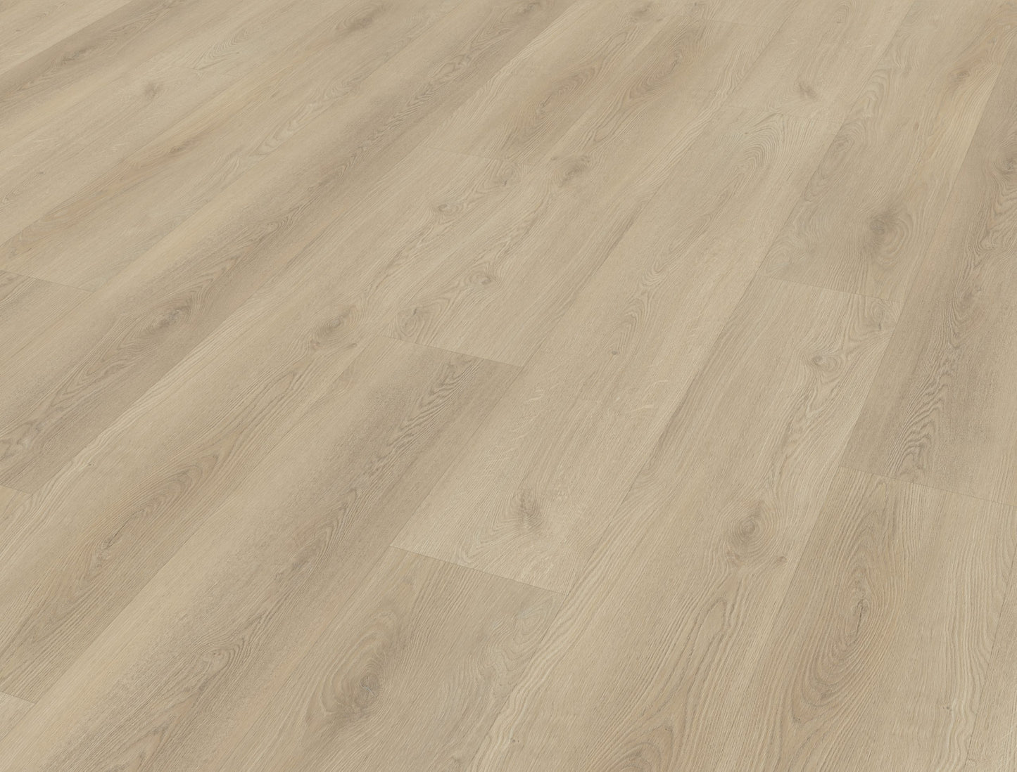 Belakos Palazzo 730 | Bruin