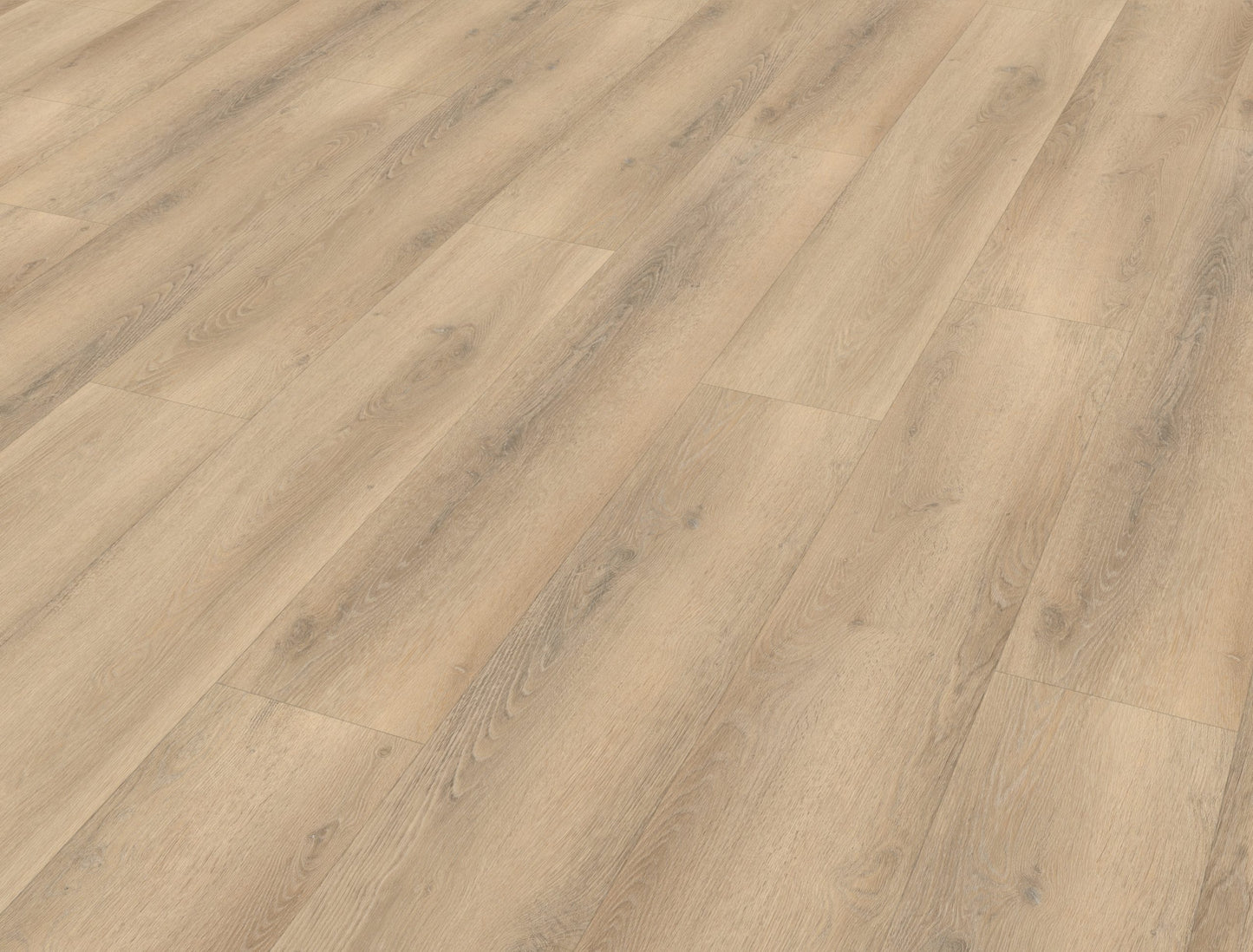 Belakos Palazzo 750 | Bruin