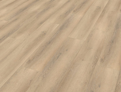 Belakos Palazzo 750 | Bruin