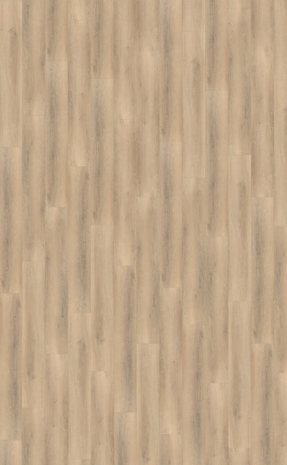 Belakos Palazzo 750 Rigid Click | Bruin