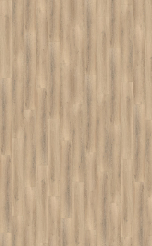 Belakos Palazzo 750 | Bruin