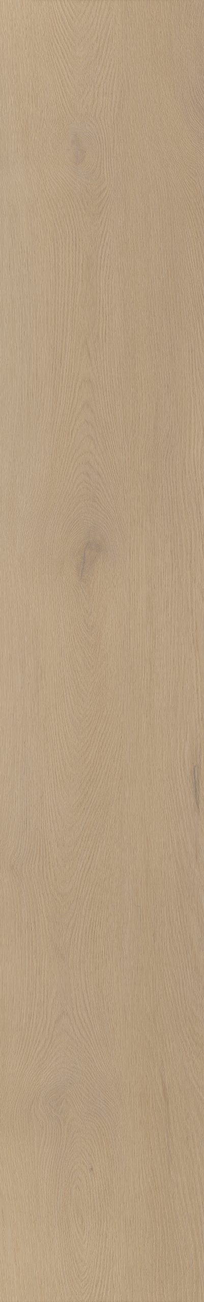 Belakos Palazzo 770 | Bruin