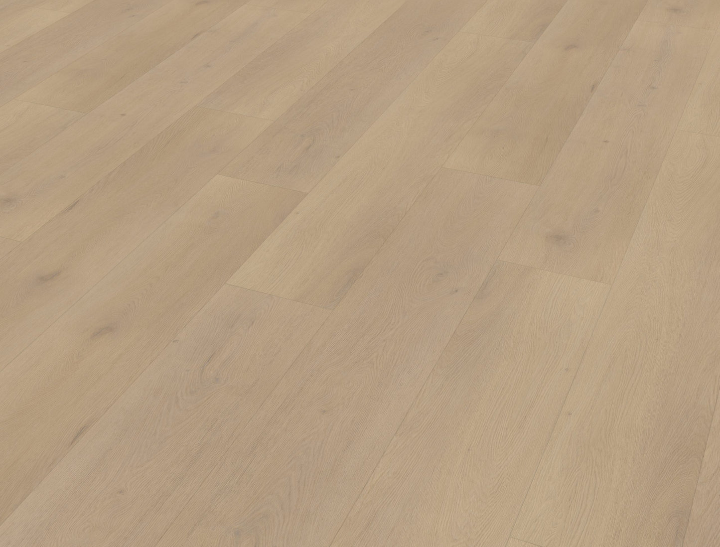 Belakos Palazzo 770 | Bruin