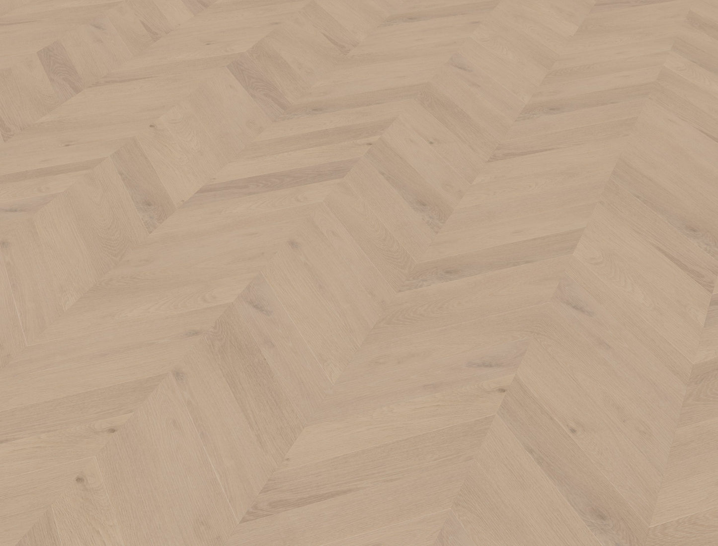 Belakos Palazzo Hongaarse punt | Weense punt 74 | Bruin