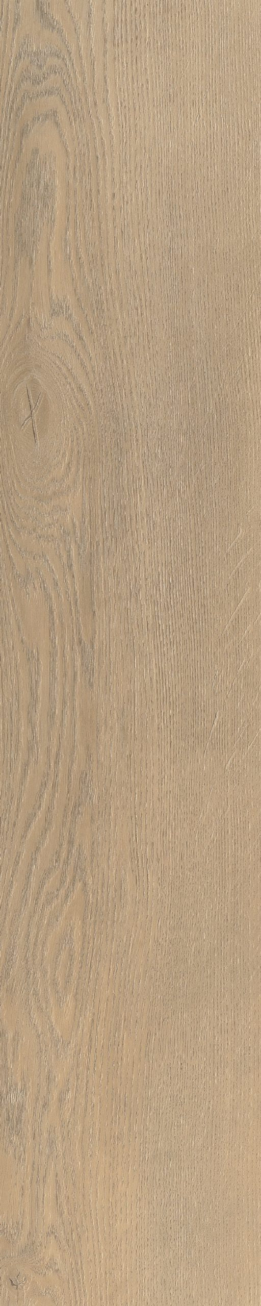 Belakos Palazzo visgraat XL 71 | Bruin