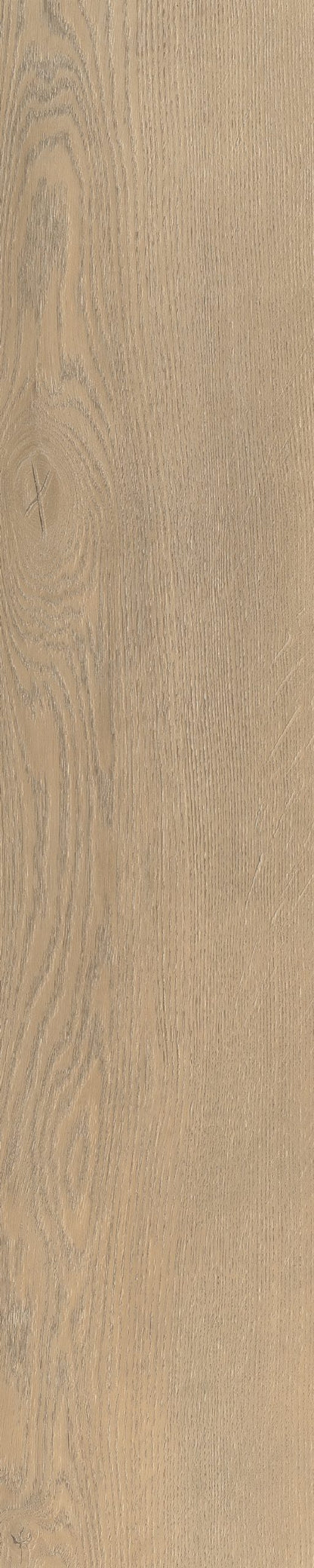 Belakos Palazzo visgraat XL 71 | Bruin