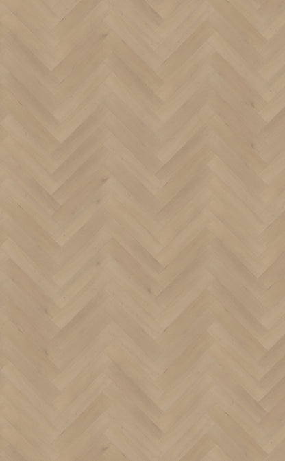 Belakos Palazzo visgraat XL 77 | Bruin