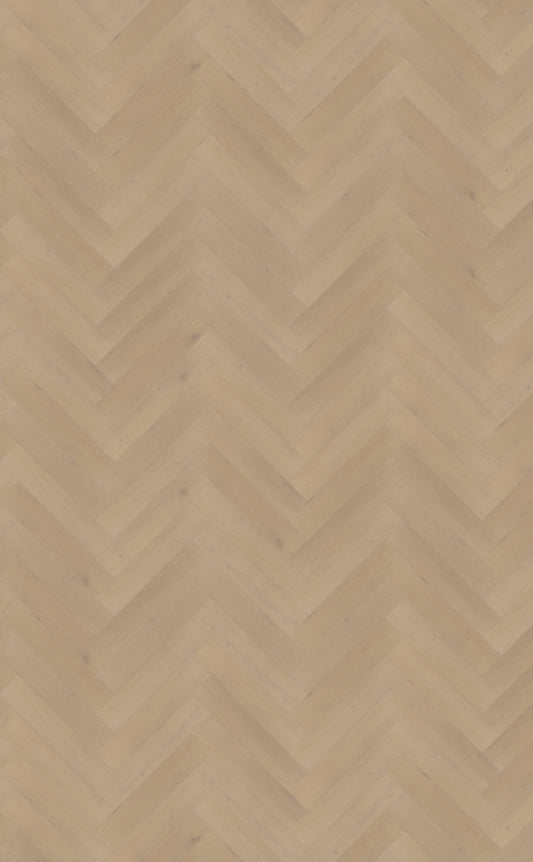 Belakos Palazzo visgraat XL 77 | Bruin