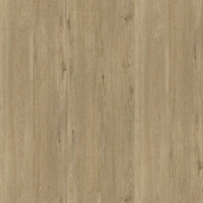 Belakos Rustico 50 | Bruin