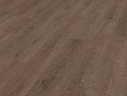 Belakos Monastro 900 | Bruin