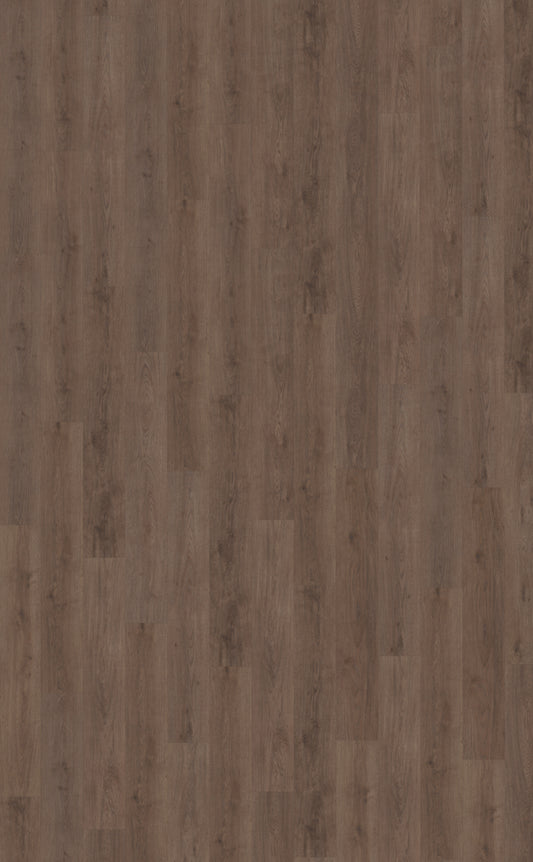 Belakos Monastro 900 | Rigid Click | Bruin