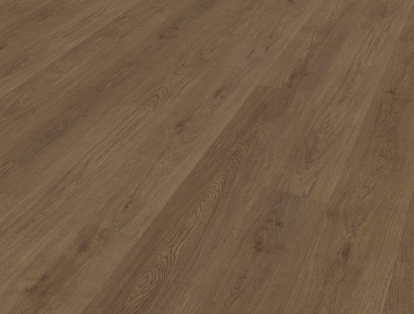 Belakos Monastro 910 | Bruin