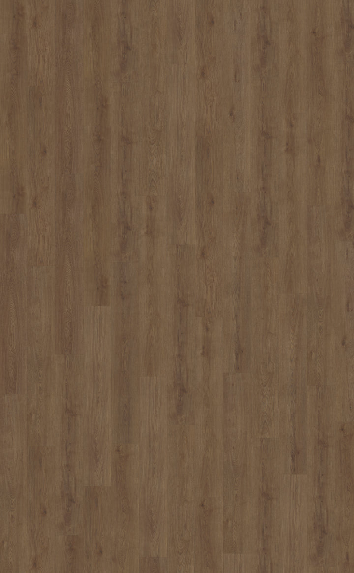 Belakos Monastro 910 | Bruin