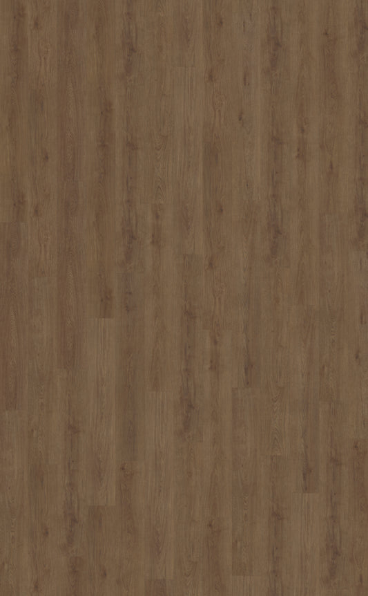 Belakos Monastro 910 | Bruin