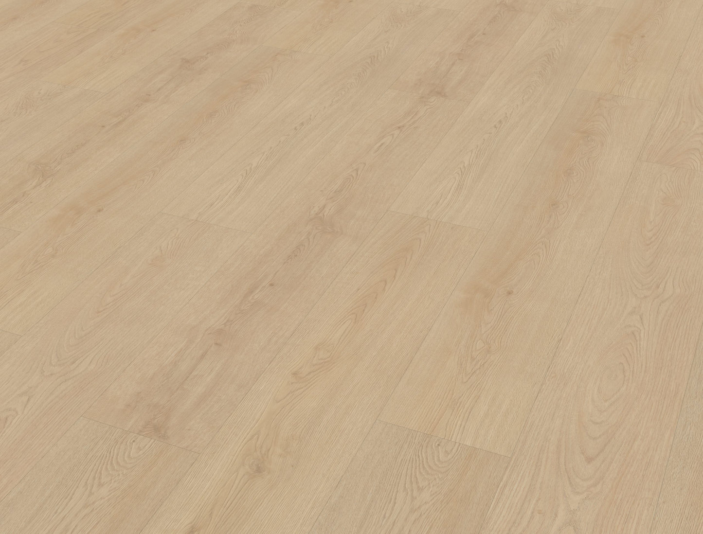 Belakos Monastro 920 | Rigid Click | Bruin