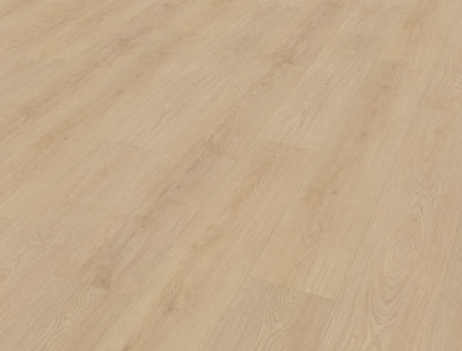 Belakos Monastro 920 | Bruin