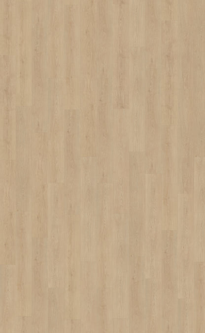 Belakos Monastro 920 | Bruin