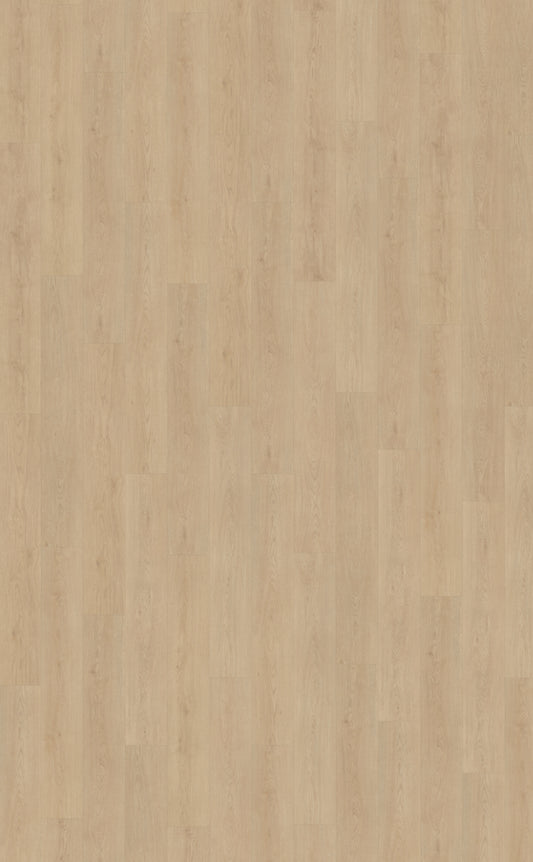 Belakos Monastro 920 | Bruin