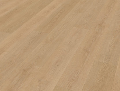 Belakos Monastro 930 | Rigid Click | Bruin