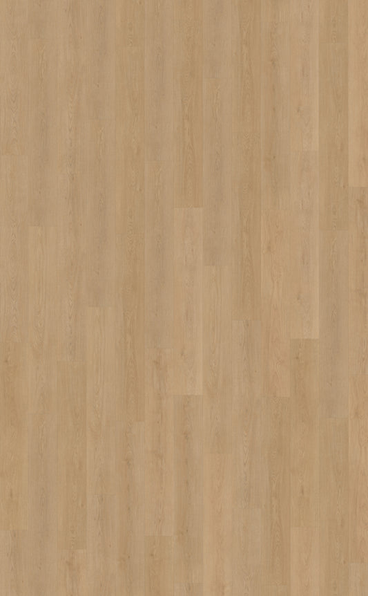 Belakos Monastro 930 | Bruin