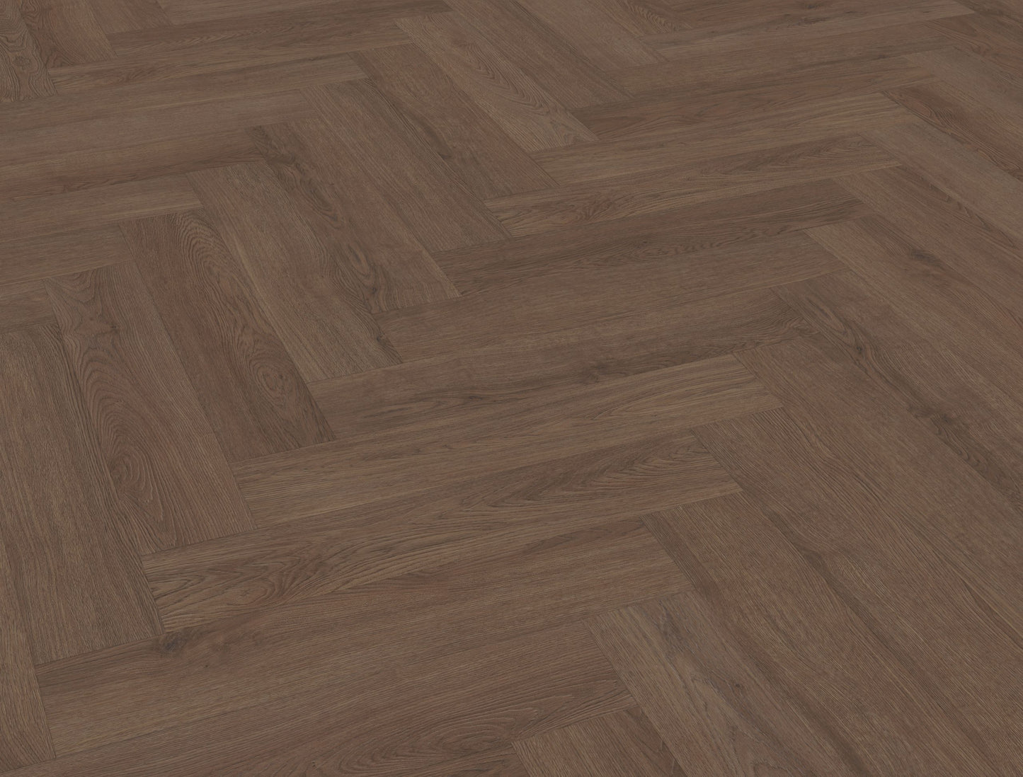 Belakos Monastro visgraat XL 90 | Bruin