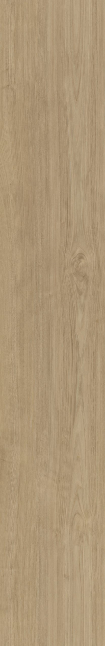 Belakos Portico 540 | Bruin