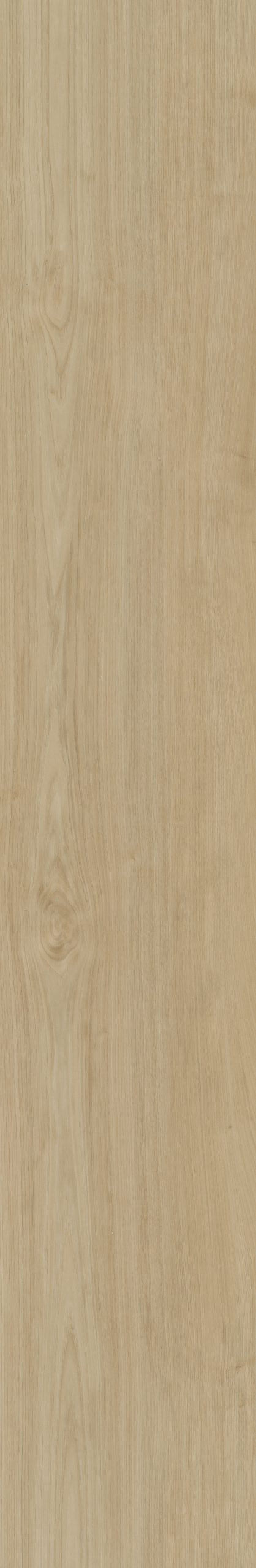 Belakos Portico 550 | Bruin