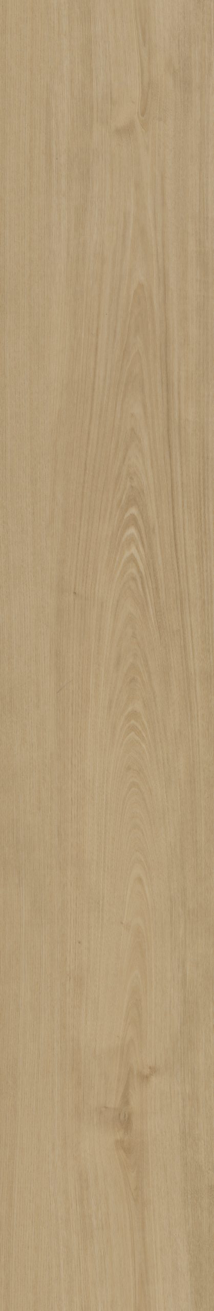 Belakos Portico 560 | Rigid Click | Beige