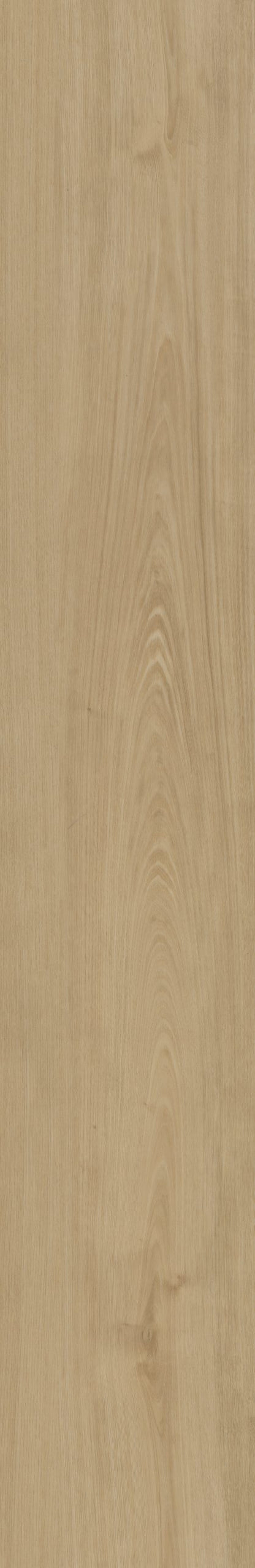 Belakos Portico 560 | Rigid Click | Beige