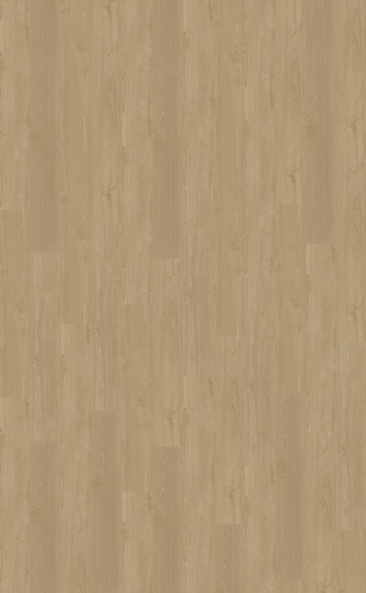 Belakos Portico 560 | Bruin