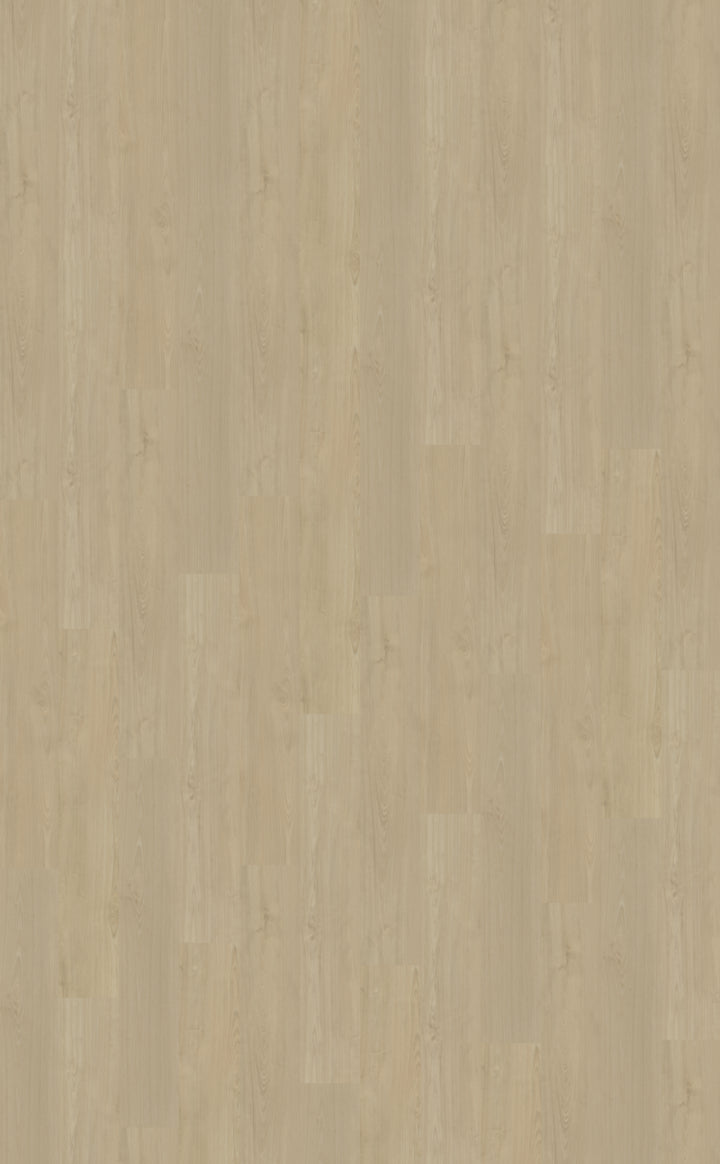 Belakos Portico 570 | Rigid Click | Beige