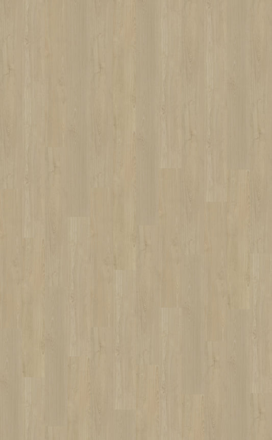 Belakos Portico 570 | Bruin