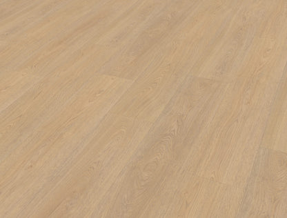 Belakos Terreno 610 | Bruin