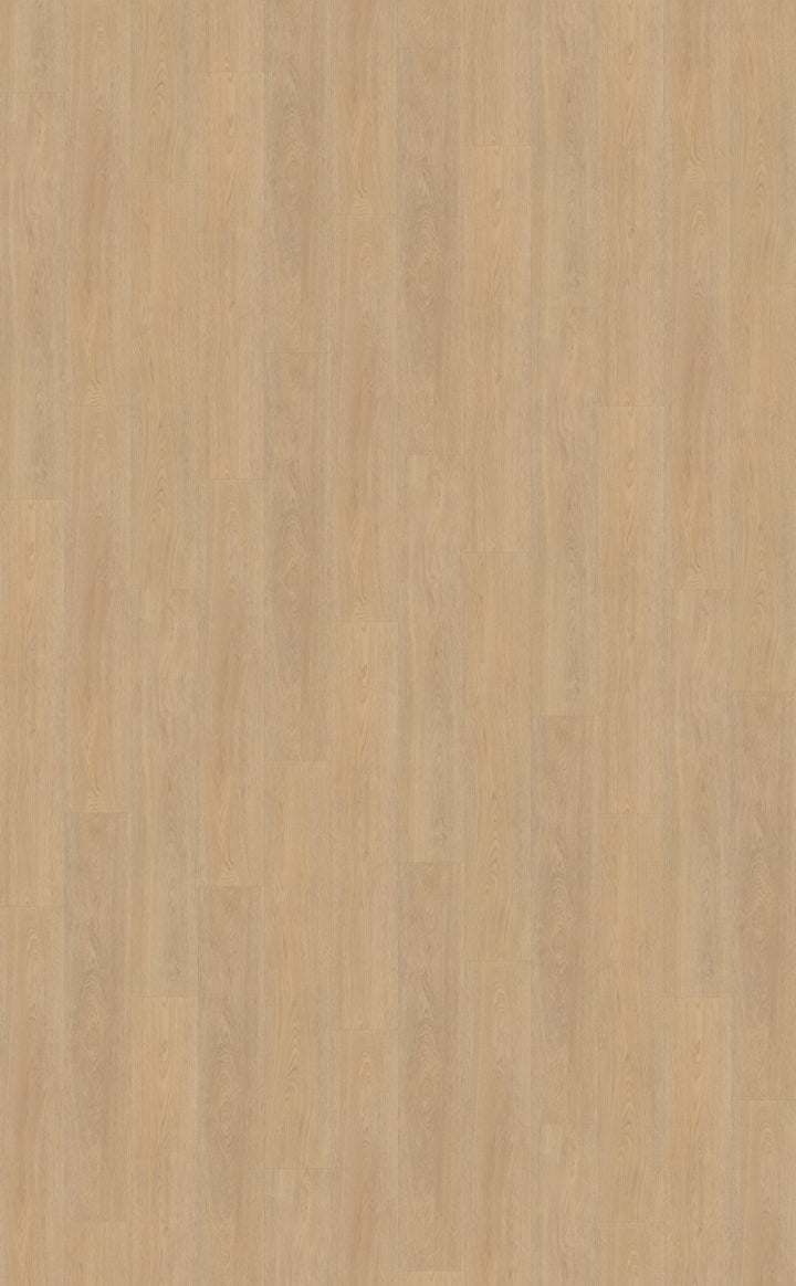 Belakos Terreno 610 | Bruin