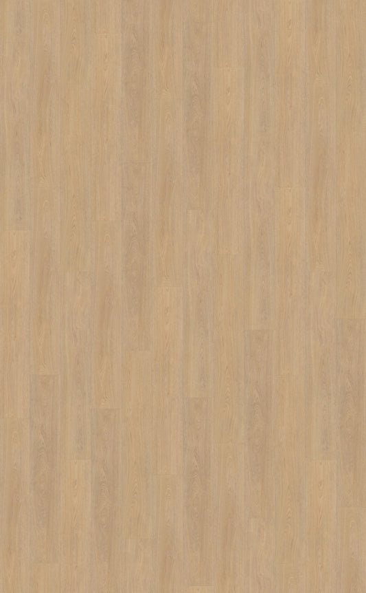 Belakos Terreno 610 | Bruin