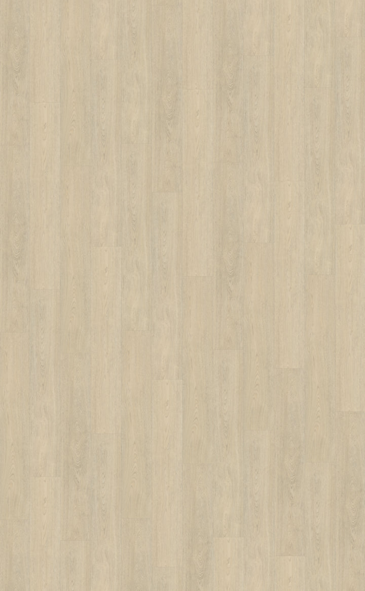 Belakos Terreno 620 | Bruin