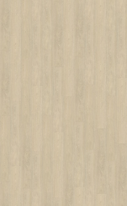 Belakos Terreno 620 | Bruin