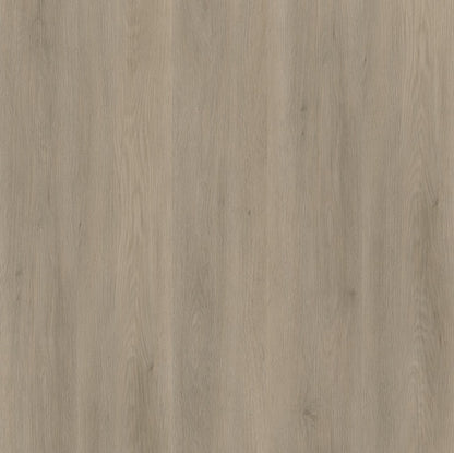 Ambiant Sentima (Smoky)