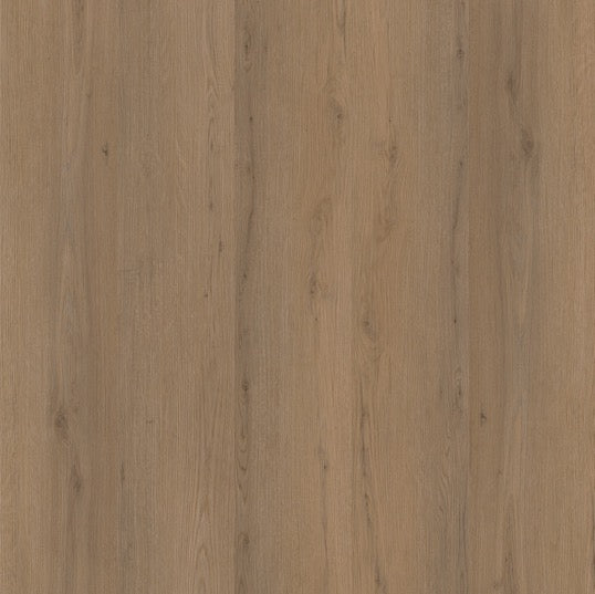 Ambiant Venera (Dark Oak)