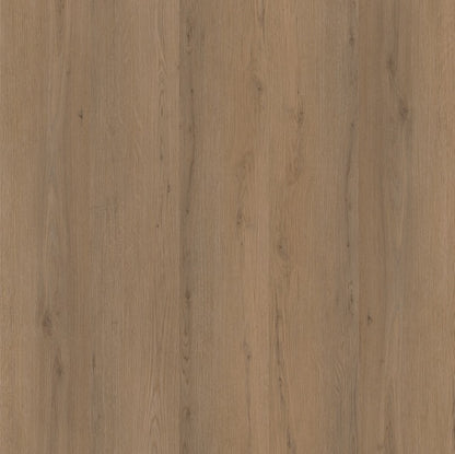 Ambiant Venera (Dark Oak)