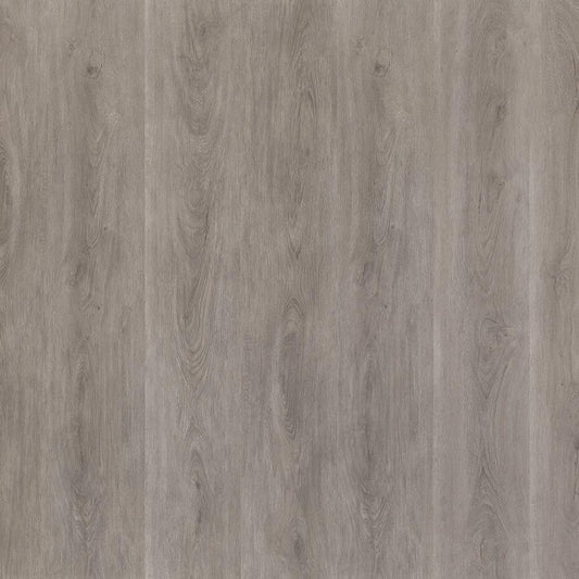 Ambiant Robusto (Grey Oak)