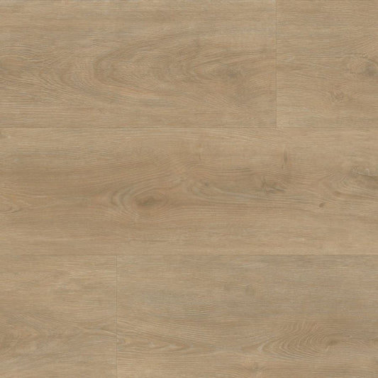 Ambiant Robusto (Naturel)