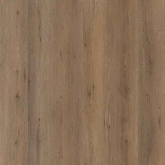 Ambiant Vivero (Smoky)