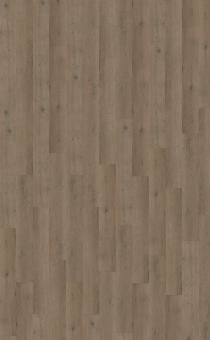 Belakos Attico 840 | Bruin