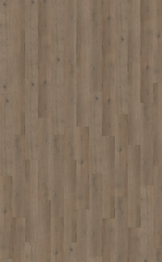 Belakos Attico 840 | Rigid Click | Bruin