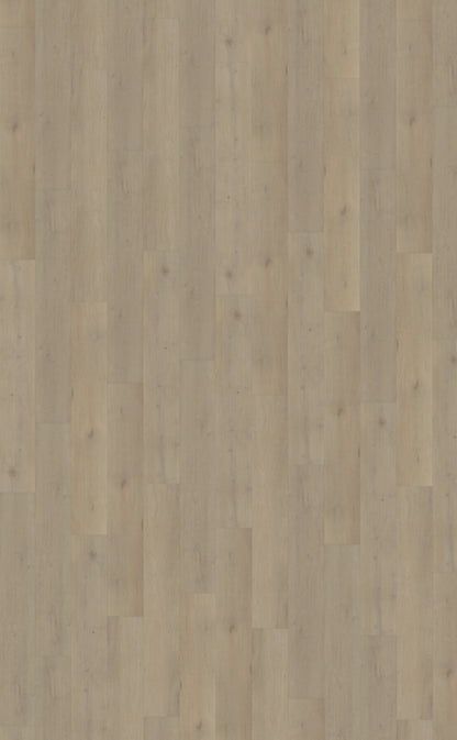 Belakos Attico 850 | Rigid Click | Bruin