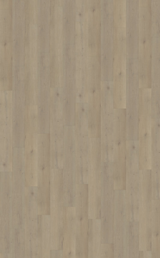 Belakos Attico 850 | Rigid Click | Bruin