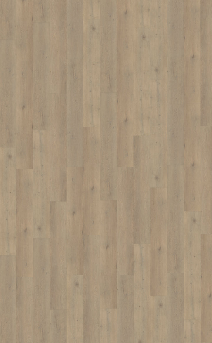 Belakos Attico 860 | Rigid Click | Bruin